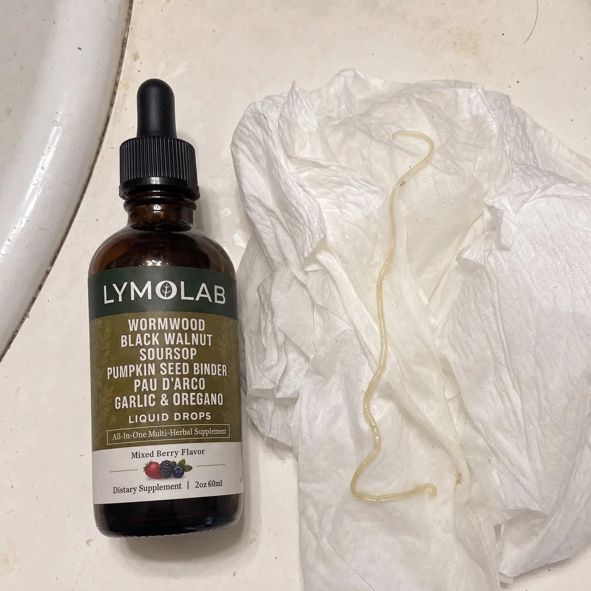 LYMOLAB Wild-Harvested Wormwood Herbal Drops